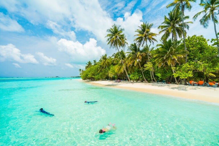 Les Gros Îlets, St. Barth: A Thrilling Dive Site for Marine Life Lovers