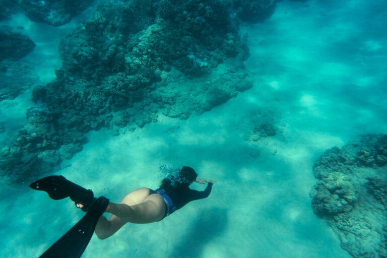 Snorkeling and diving around Gustavia