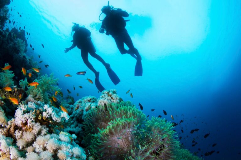 Scuba Diving at Saint-Jean Bay, St. Barts: A Tropical Underwater Escape