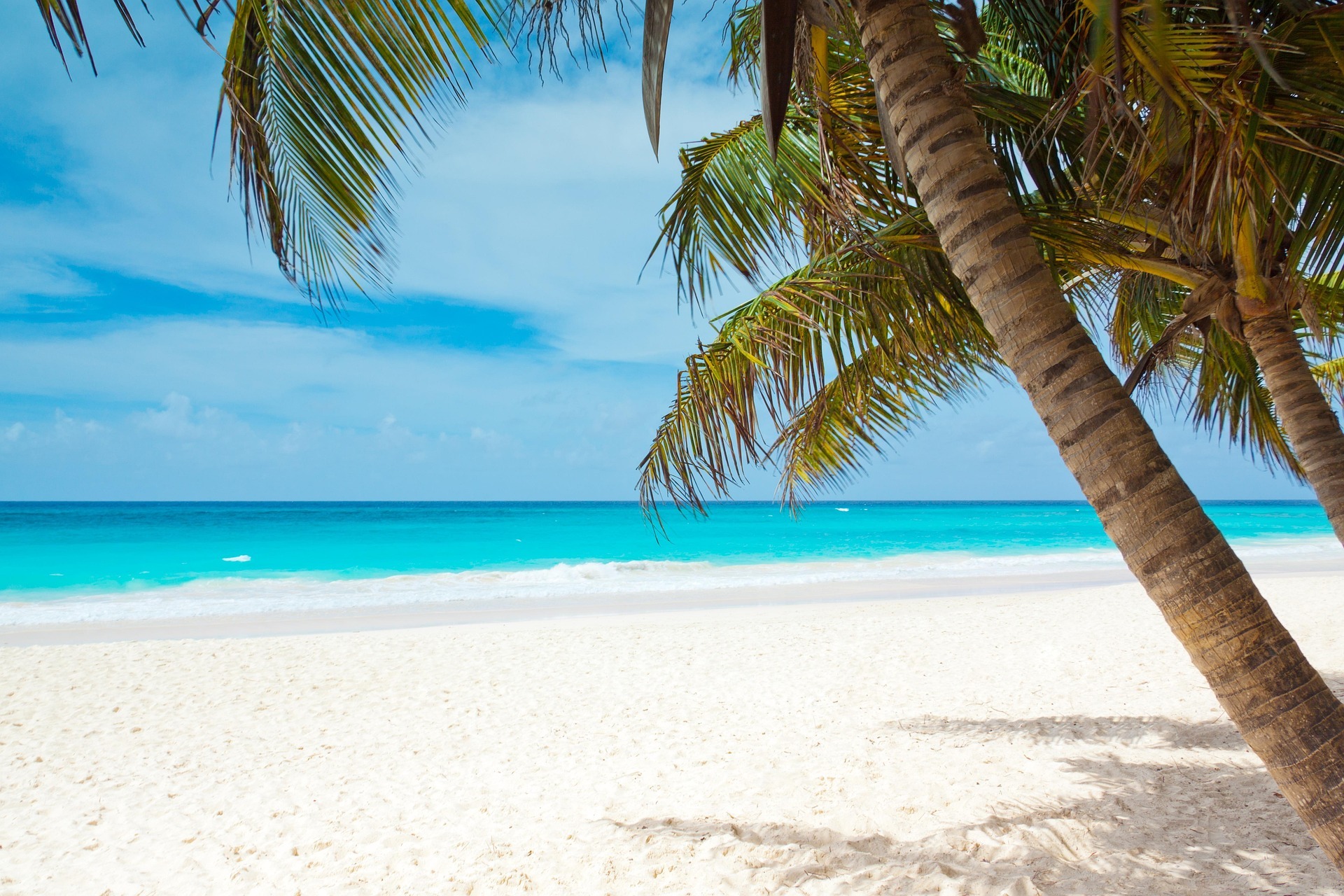 ✅ Explore the 5 Most Beautiful Beaches in St. Barts