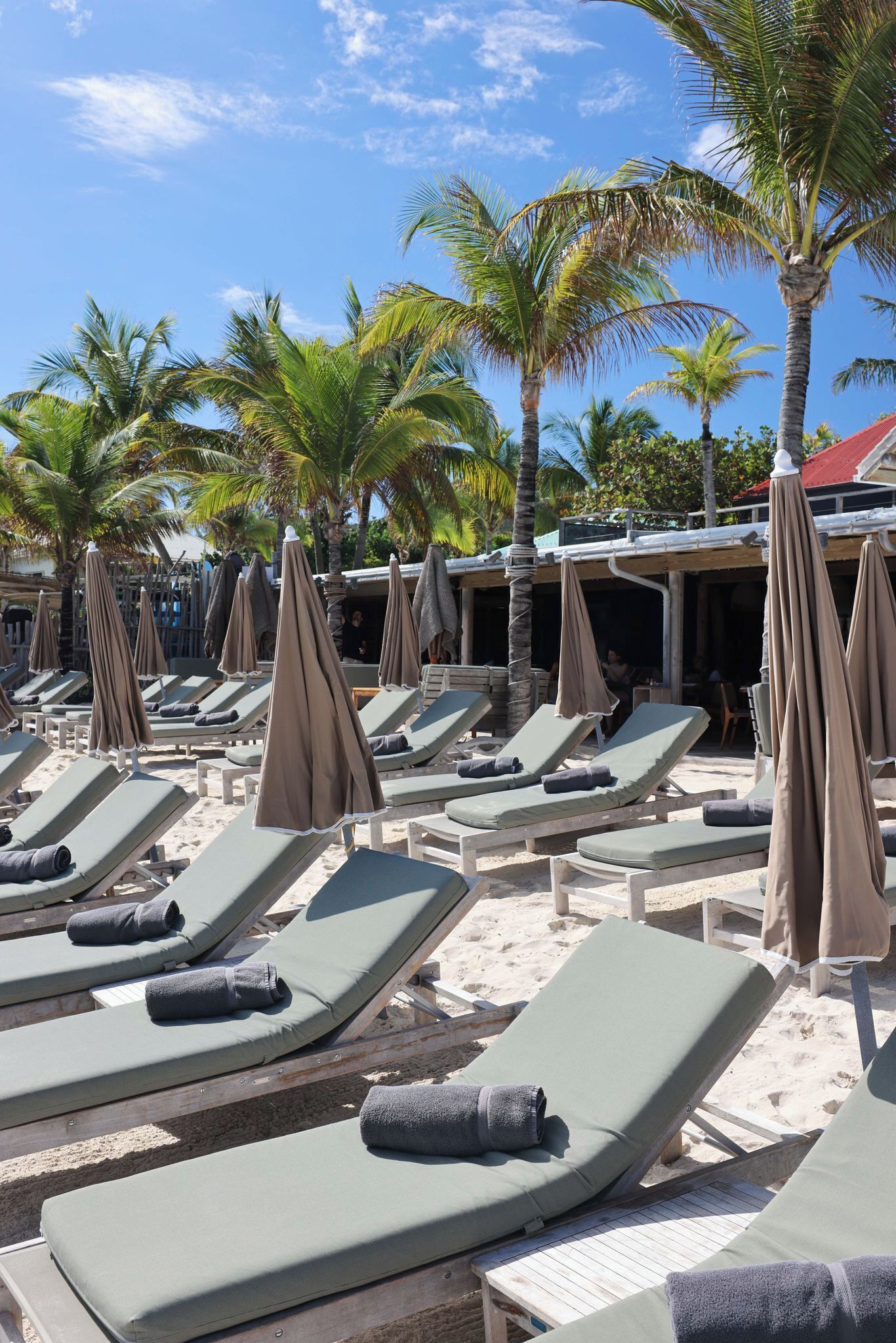 Pearl Beach shaded loungers