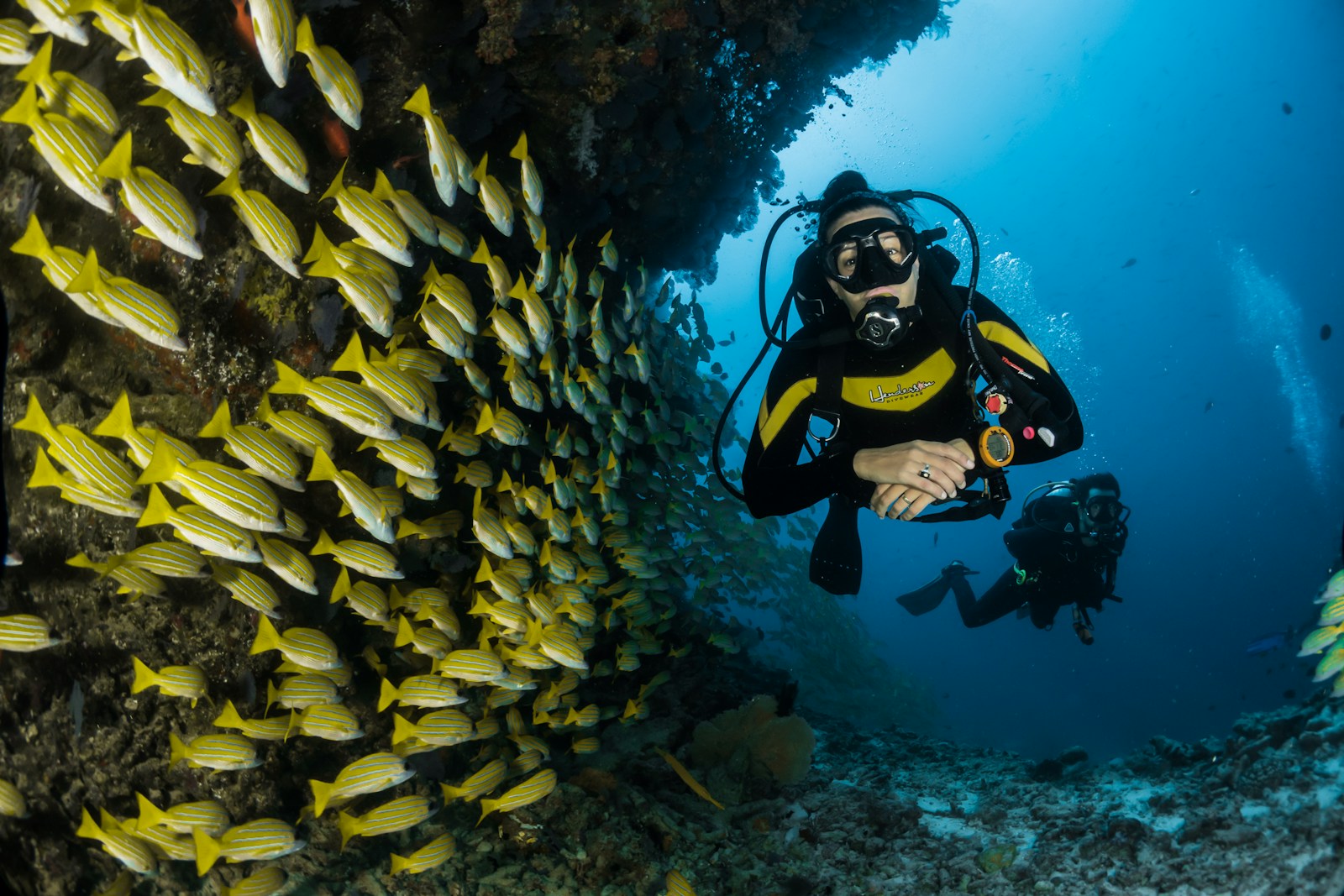 Top 10 Clearest Waters in St. Barth (Ranked) Top 10 Clearest Waters in St. Barth (Ranked)